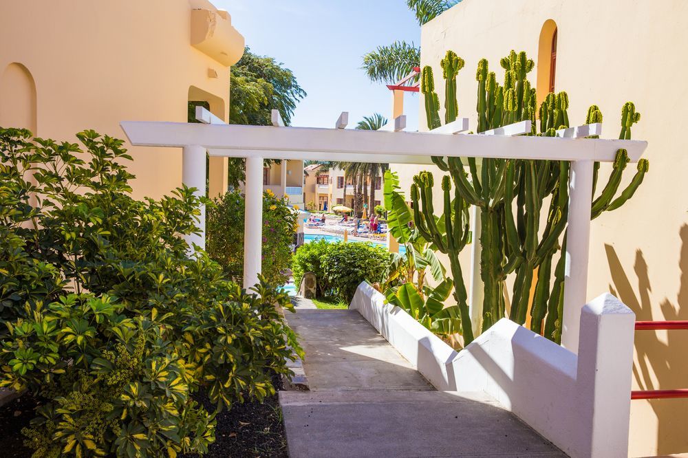 Hotel Livvo Koala Garden Maspalomas  Dış mekan fotoğraf